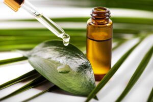 Tea Tree oil: benefici e modalità d’uso per arricchire la tua routine di bellezza